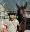 RomiDry